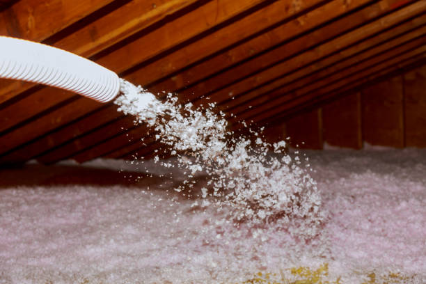 Best Insulation Installation Services in Jan Phyl Village, FL