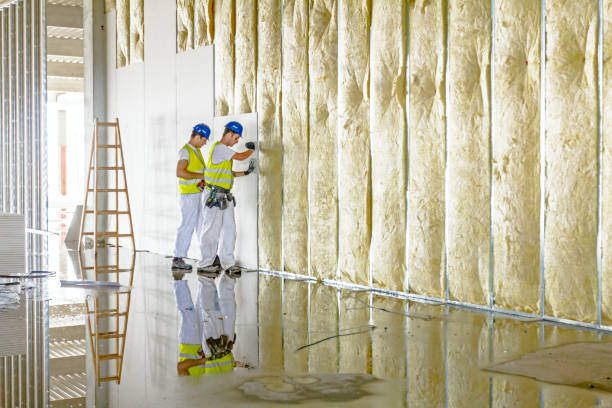 Best Insulation Maintenance and Repair in Jan Phyl Village, FL